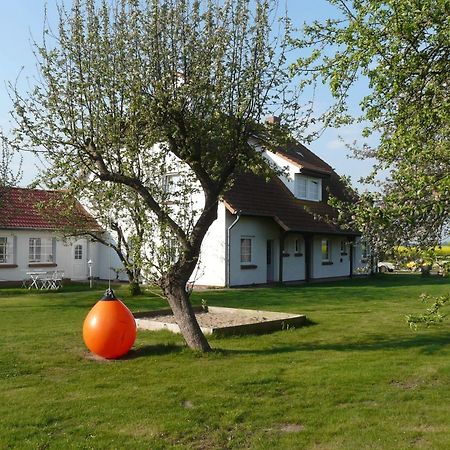 Pension Schwalbenhof Klausdorf  Buitenkant foto