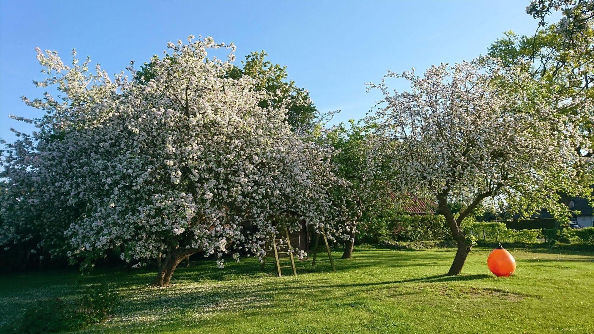 Pension Schwalbenhof Klausdorf  Buitenkant foto