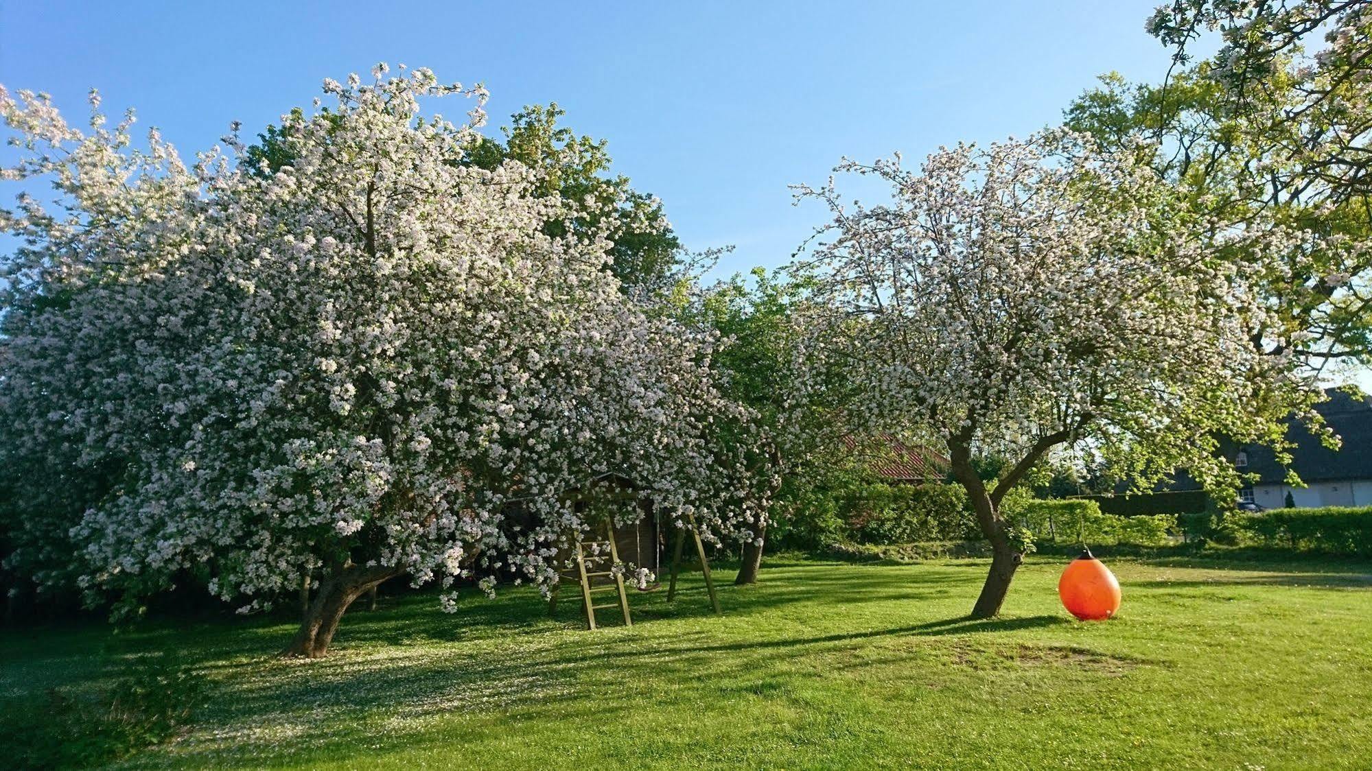 Pension Schwalbenhof Klausdorf  Buitenkant foto