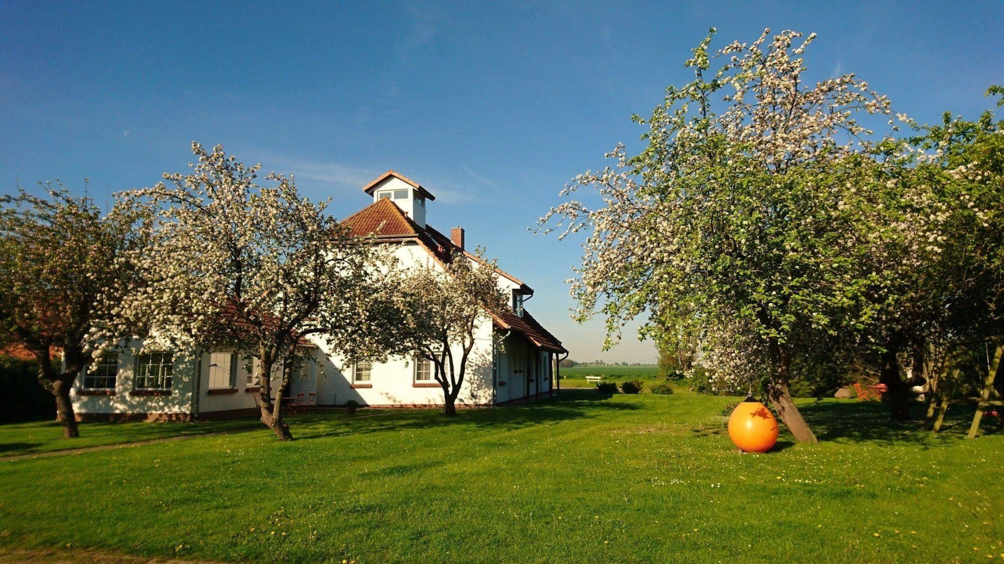 Pension Schwalbenhof Klausdorf  Buitenkant foto